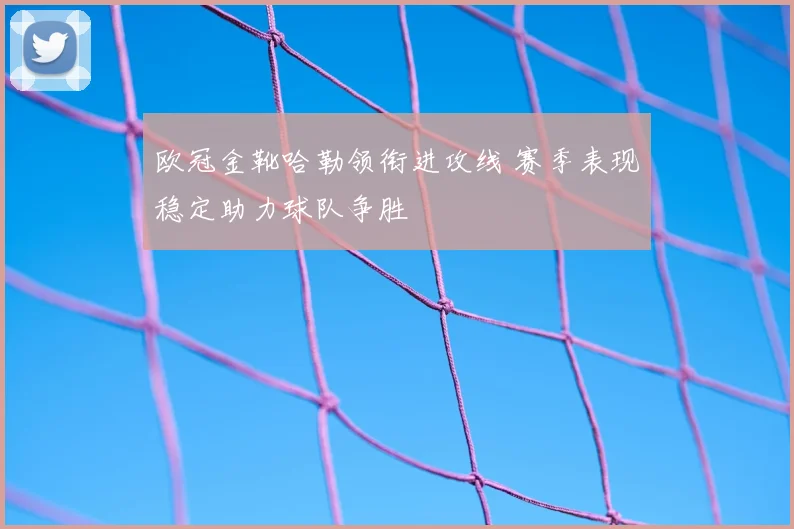欧冠金靴哈勒领衔进攻线 赛季表现稳定助力球队争胜